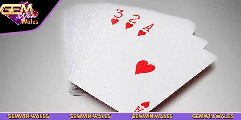 Mọi người tham gia cần phải tuân thủ luật quy định rõ ràng