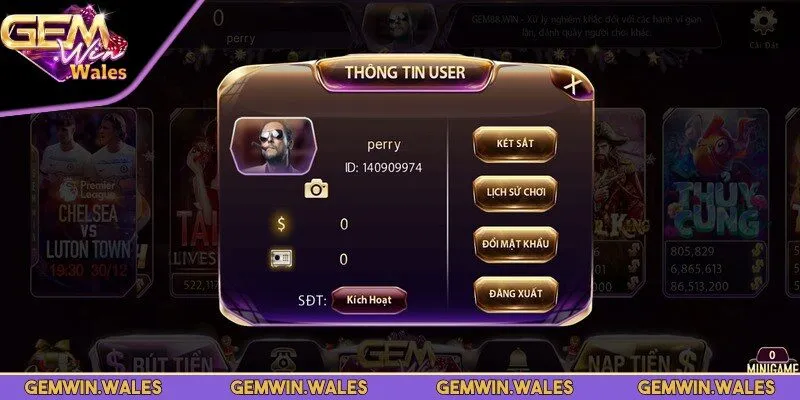 Tuân thủ hướng dẫn để tránh gặp lỗi khi đăng nhập Gemwin