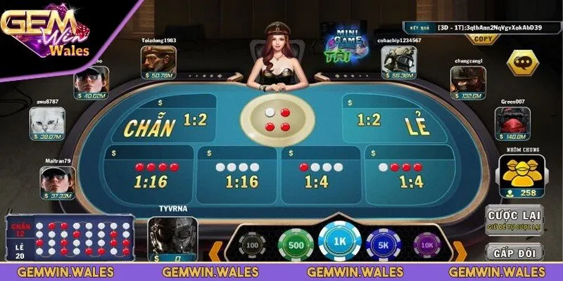 Cược theo người may mắn được nhiều người áp dụng